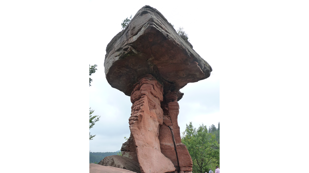 ein Felsen, der aussieht wie ein Teufelstisch aus Sandstein in Pilzform im Pfälzerwald
