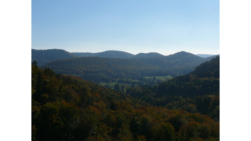 Eine Wasgaulandschaft in der Pfalz mit Wäldern und Hügeln. Hier gibt es Öle aus dem wunderschönen Wasgau.