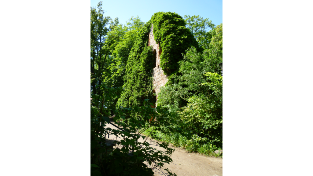 Der von Bäumen fast überwucherte Südflügel des Klosters