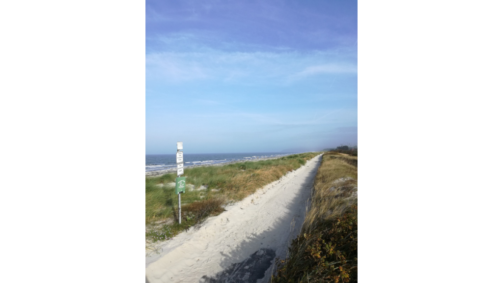 Ein langer Dünenweg in Hiddensee mit dem Meer im Hintergrund