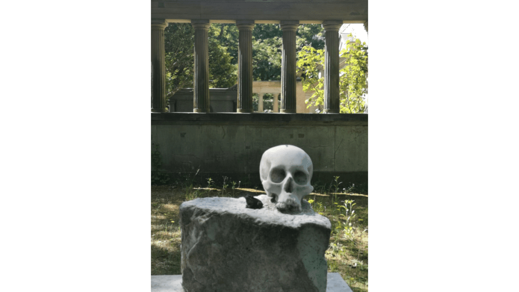 Ein Schädel liegt auf einem Grabstein auf einem Berliner Friedhof