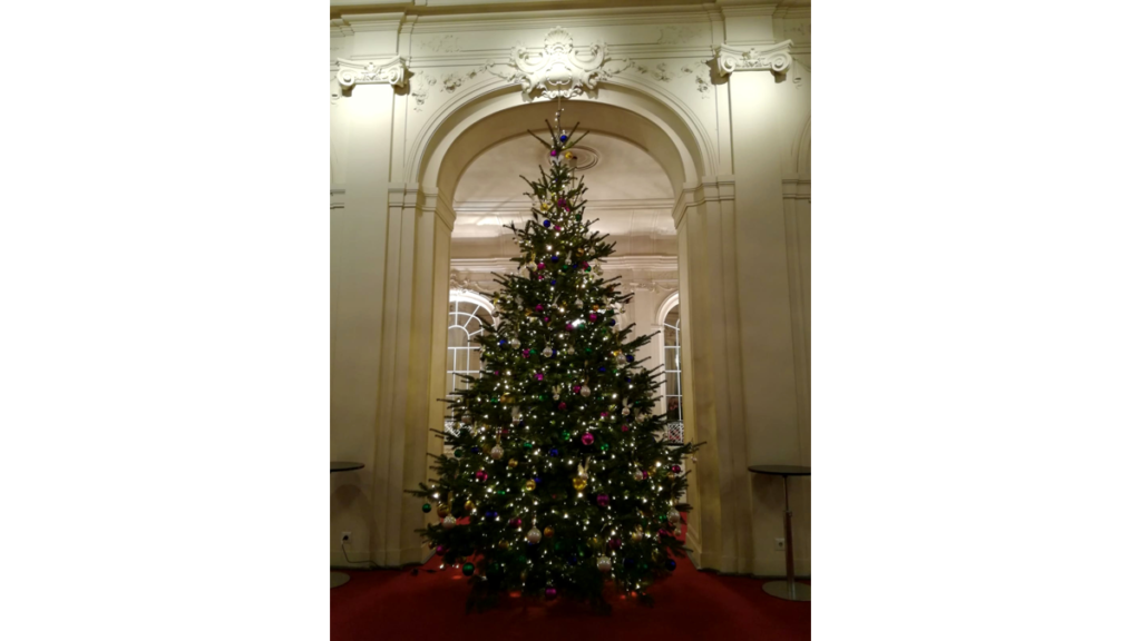 Ein festlich geschmückter großer Weihnachtsbaum in der Komischen Oper