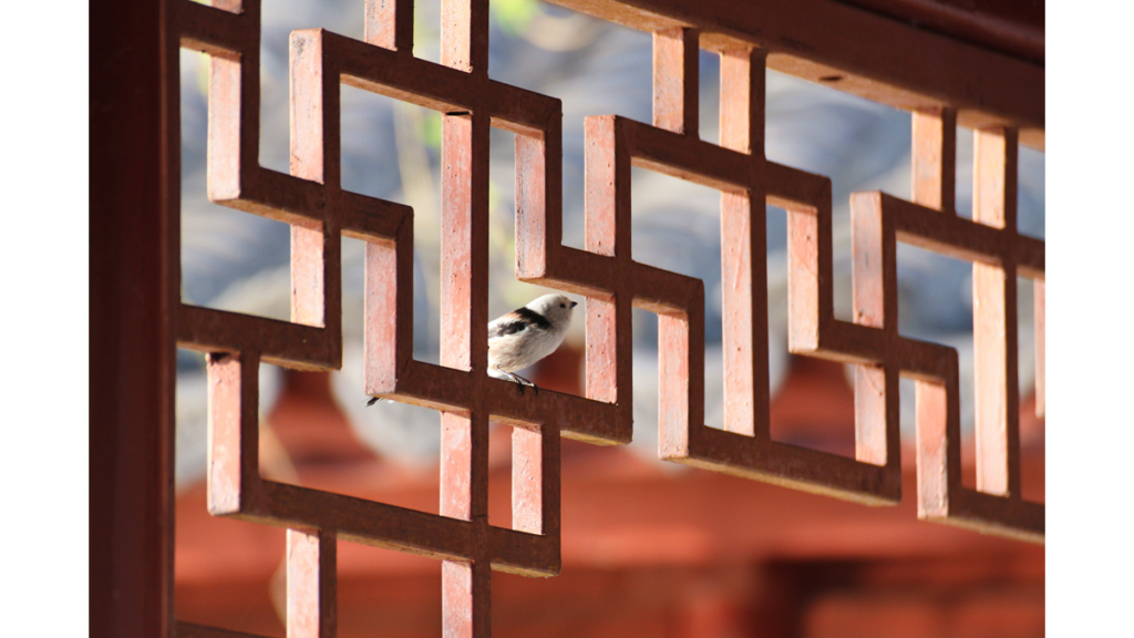 Ein kleiner Vogel sitzt in einem traditionellen roten chinesischen Geländer im Chinesischen Garten der Gärten der Welt 