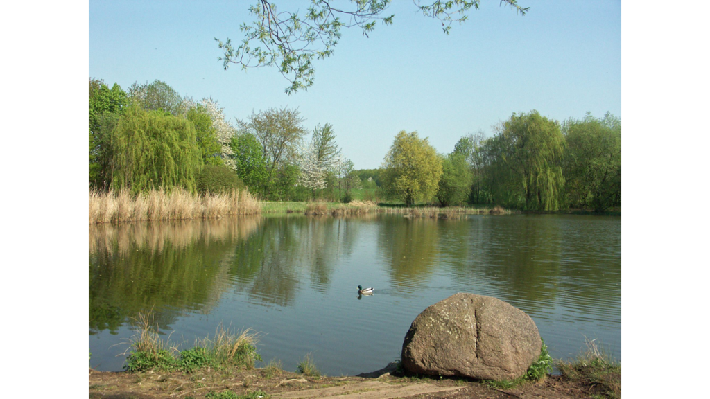 Der Silbersee im Erholungspark Lößnig-Dölitz in unmittelbarer Nähe zum Nibelungenring