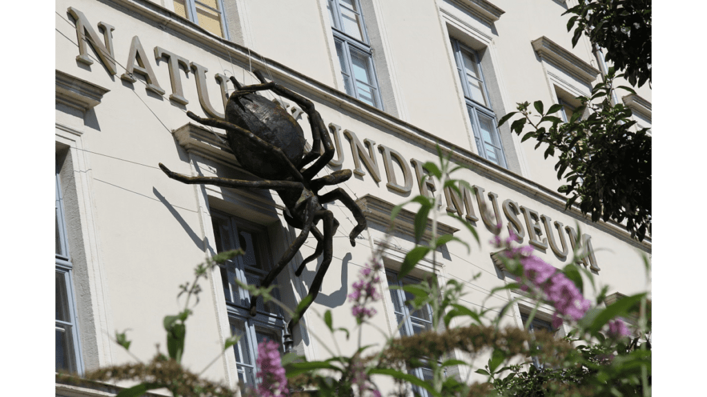 Die Fassade des Naturkundemuseums in Leipzig mit einer riesigen Spinne
