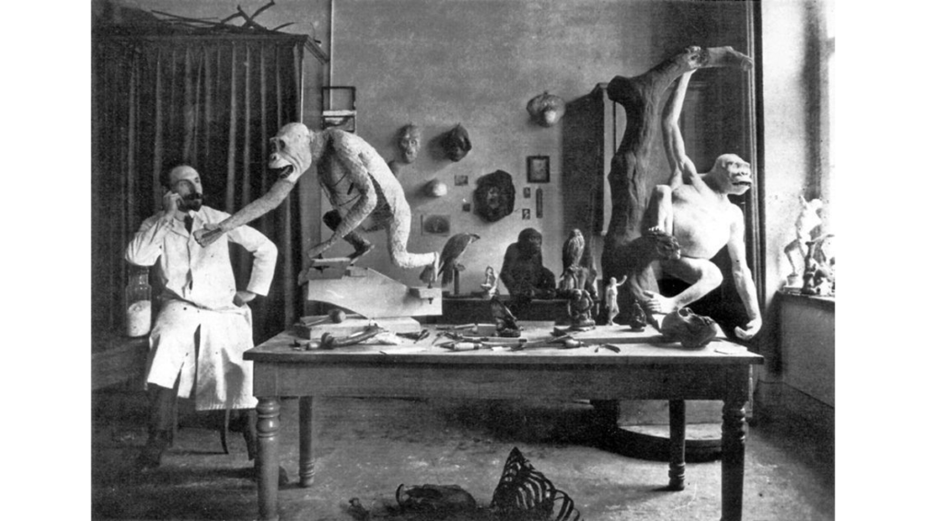 Eine historische Fotografie des Tierpräparators Heinrich H. ter Meer (1871-1934) in seinem Atelier.
