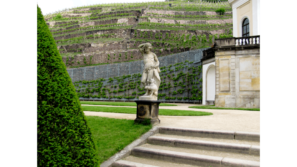Eine Statue des Gottes Bacchus im Schlosspark vo Schloss Wackerbarth