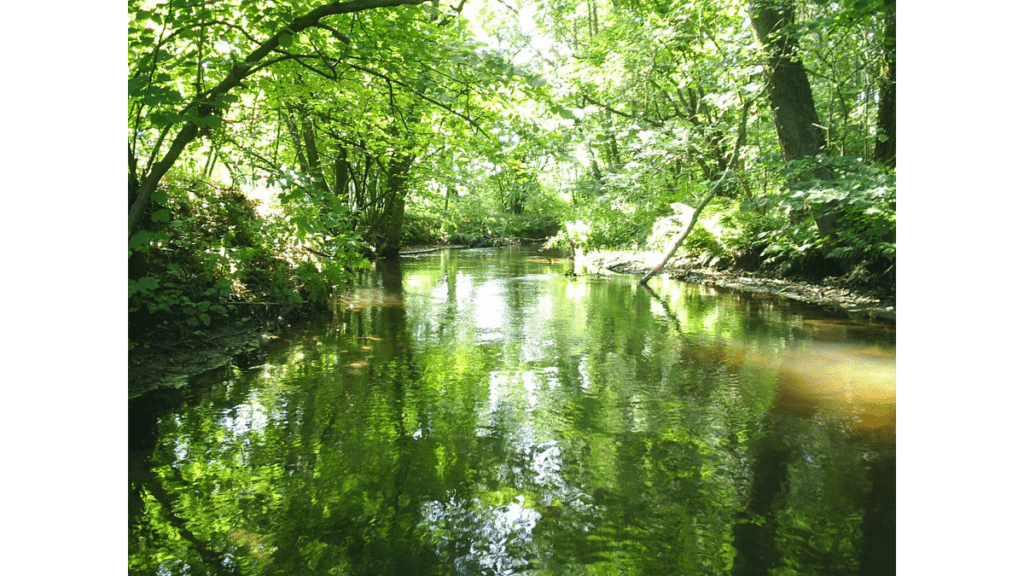 Der Fluss Plane nahe Belzig