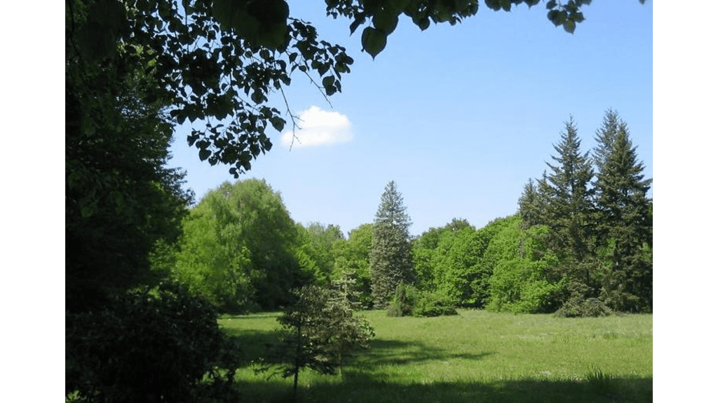 Park von Schloss Stülpe stammt aus der Zeit Adolf Friedrichs von Rochow