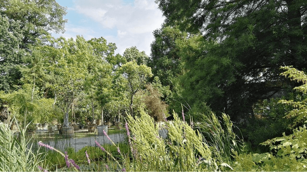 Der Botanische Garten in Dresden in der Nähe des Dresdener Zoos.