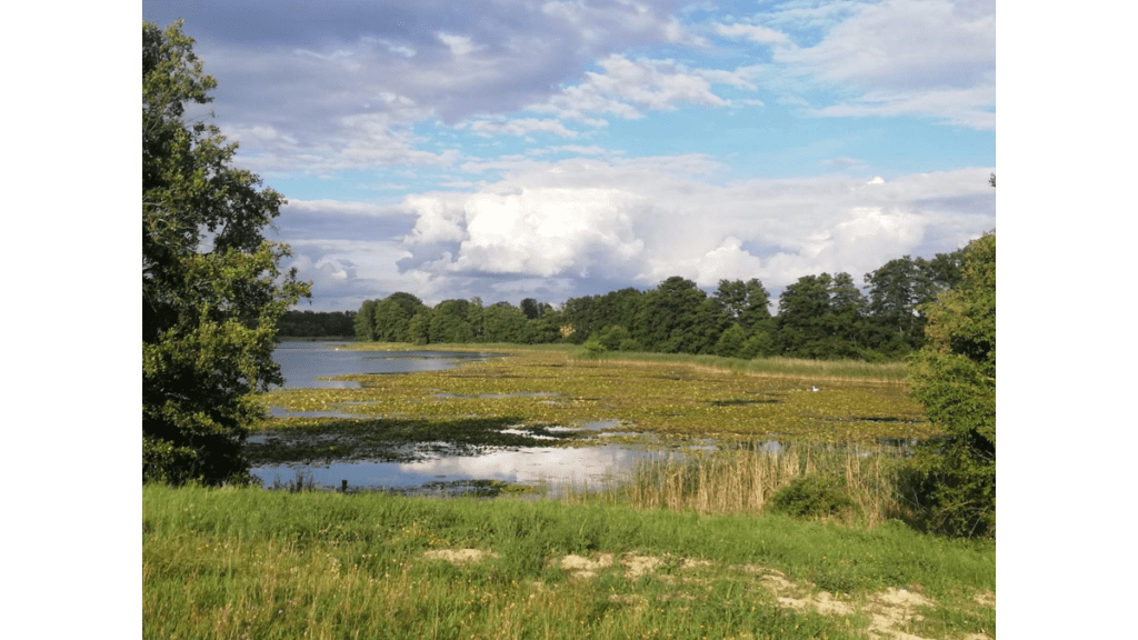 Die naturbelassene Landschaft rund um das Ökodorf Brodowin