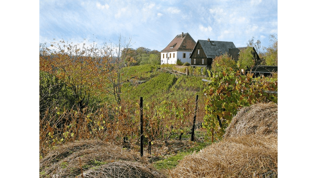 Ein Weingut im Spaargebirge nahe des Boselturms und der Boselspitze.