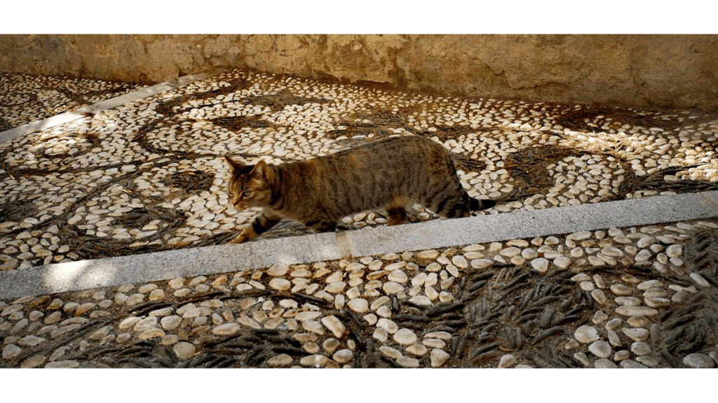 Eine Katze läuft über ein Mosaik in Granada.