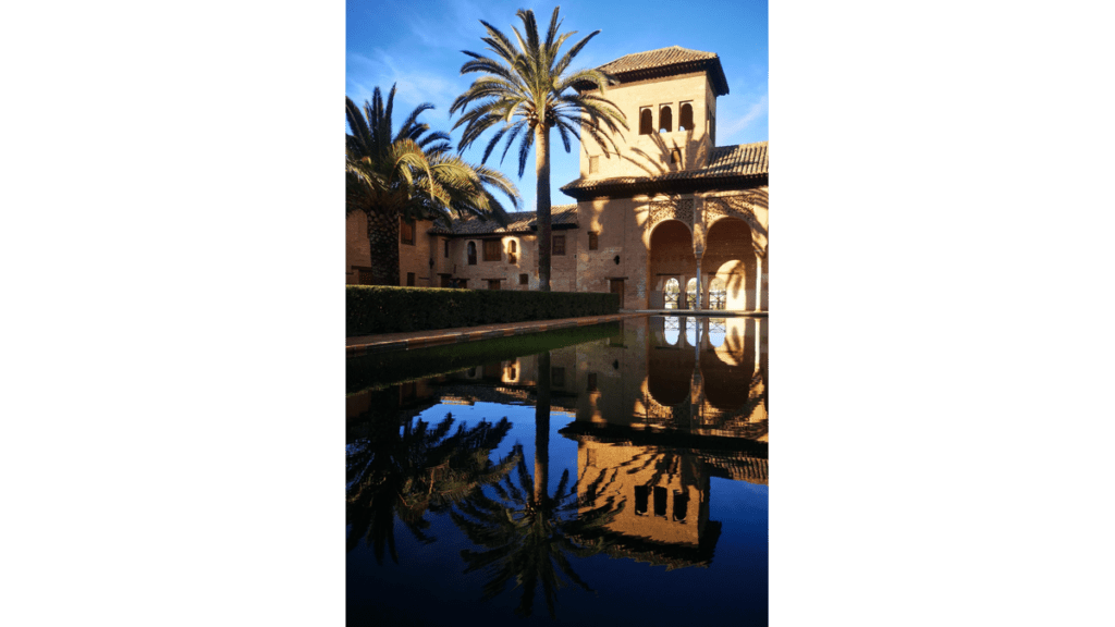Eine Palme an einem Teich in Granada.
