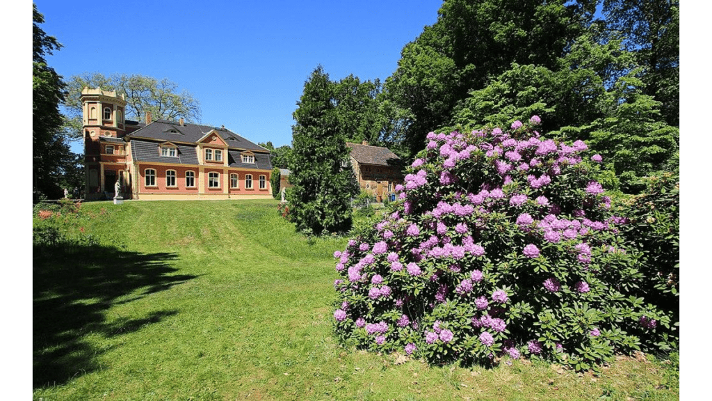 Rhododendren blühen vor dem Schloss Kromlau im Azaleen- und Rhododendronpark.