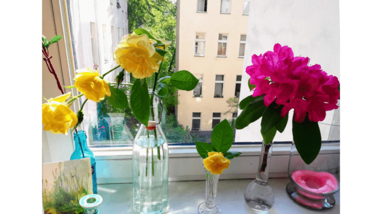 Recycelte Flaschen werden als Vasen als Zeichen für Nachhaltigkeit benutzt.
