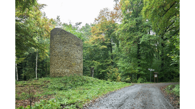 Die Turmruine der Ersten Walbecker Warte im Lappwald.