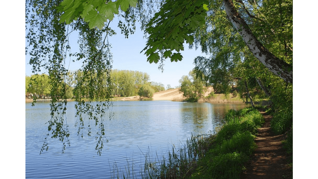 Gommern das Fürstengrab in der Sanddüne Buskompass
