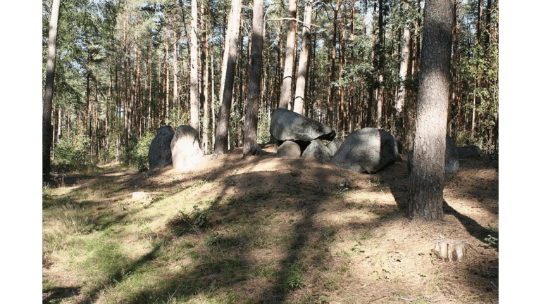 Das Hünengrab mit dem Namen Großsteingrab Diesdorf 3.