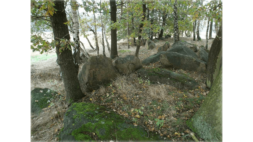 Ein noch gut erhaltenes Hünengrab bei Molmke. Es ist eines der am besten erhaltenen Hünengräber bei Diesdorf.