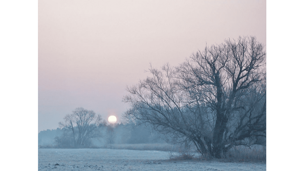 Morgendämmerung im winterlichen Baruther Urstromtal.