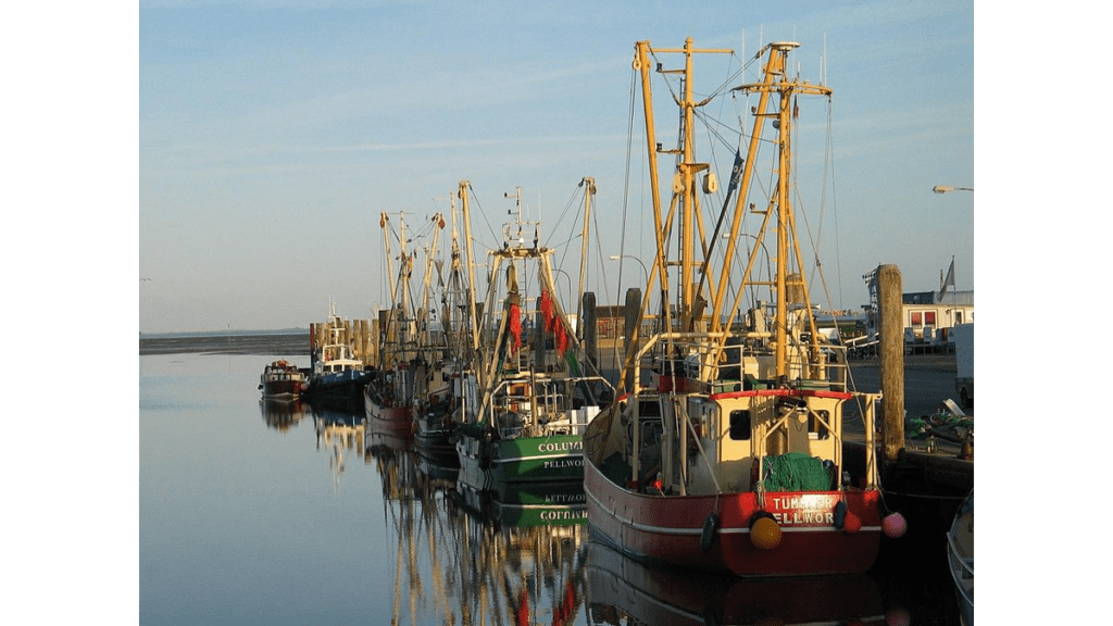 Der Alte Hafen Tammensiel mit dem Fähranleger.