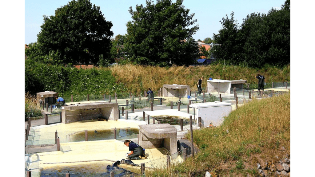 Die Becken für die Heuler in der Seehundstation Friedrichskoog.