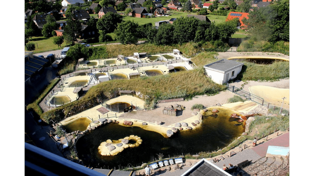 Ein Blick von oben auf die zahlreichen Becken der Seehundstation Friedrichskoog.