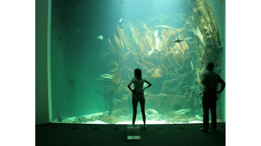 Eine Panoramascheibe im Altbau des Multimar Wattforums mit Ausblick auf das Aquarium.