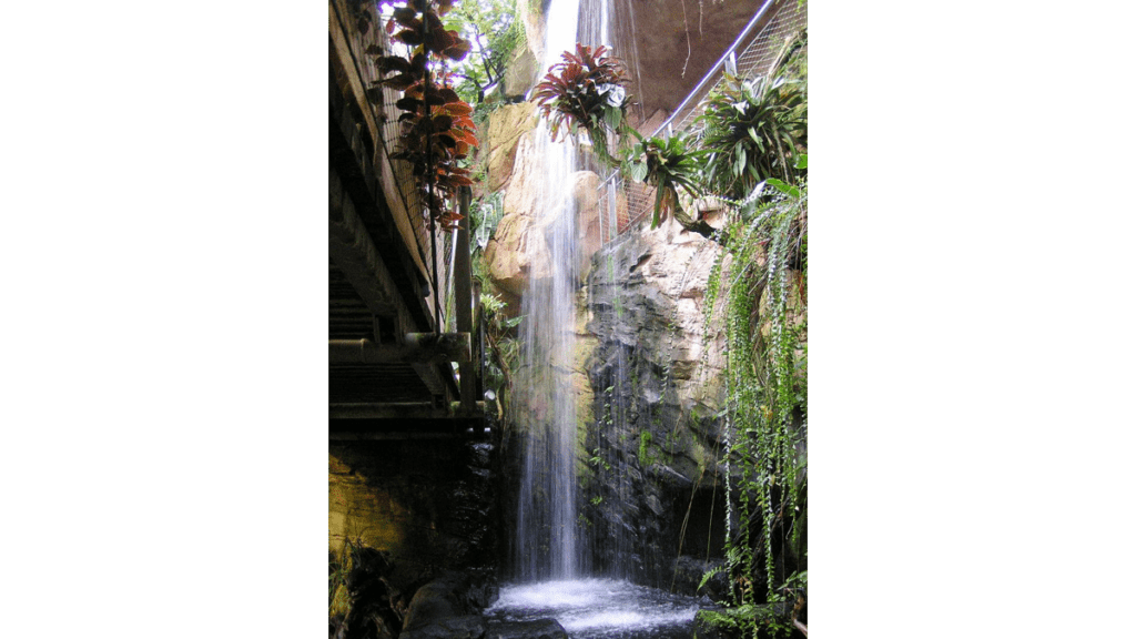 Ein Wasserfall im Sealife, das ehemalige Regenwaldhaus in den Herrenhäuser Gärten.
