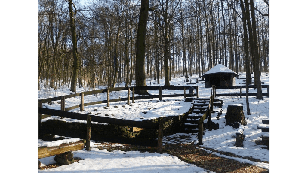 Der Mausebrunnen bei Heißum im Winter.