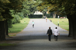 Foto: © Stefan Schaubitzer / comkomm Eine breite Allee von Bäumen läd Spaziergänger ein